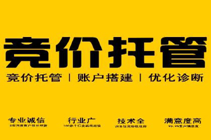 深度解析：sem推广竞价托管的五大成功实例